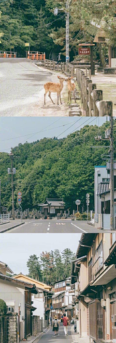 白小茶~采集到场景参考2