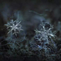 他用9年“假相机”只拍一朵雪，结果第一张照片就惊艳了世界！