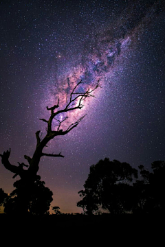 前凸后翘凸的是肚子采集到夜景手机壁纸