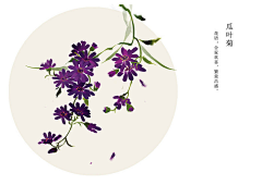 二货菇凉采集到一花一木一世界