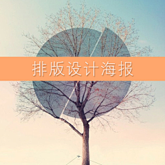 瓜瓜瓜瓜皮猫采集到排版设计海报