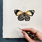 ins:ellajackson.art