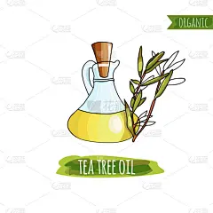 瓶茶树油和涂上水彩风格。有机物. 
