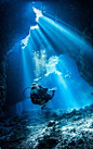 Majestic Diving Photography that will Give You Scuba Thirst Scuba Diving #scubadivingphotography #scubadivingvacation