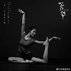 电影集结号的微博_微博