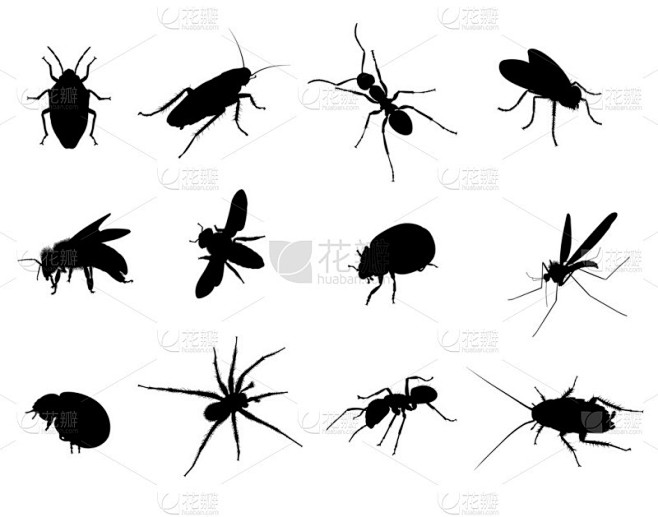 bug 黑色矢量轮廓图