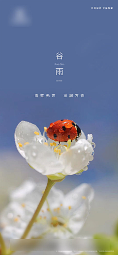 yannonono采集到【24节气】- 清明/谷雨/立夏/小满