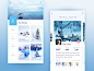  Design-UI: 04.   Where to go in winter