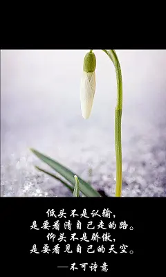 不可诗意、不可诗意文字图片、不可诗意图片、文字控、文字控图片、李宫俊、文字图片、文字美图、唯美图片、小清新美图、小清新插画、文字图、文字控、文字图片、文字排版、文字设计、文字壁纸、唯美文字、那些感动文字、文字壁纸、唯美文字、文字海报、手写文字、美文美图、美文、句子、搞笑、女性唯美图片、唯美意境图片、唯美图片大全、唯美动漫图片、唯美的句子、非主流图片唯美、唯美古风图片、文字图、手写、语录、情感、英文、文字句子、手绘、素描、水彩、彩铅、油画、版画、绘画教程文字控图片、文字控头像、文字控壁纸、唯美文字控图片、Q