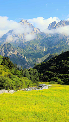 螃蟹在剥你的壳采集到外背景