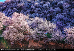 六王爷采集到新疆风景