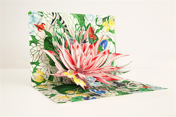 Bozena Rydlewska 的3D...