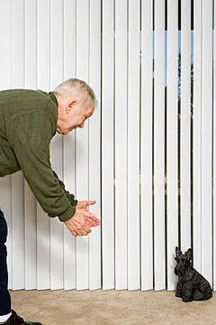 点击来源直接获取大图文件 |Elderly man beckoning dog ornament