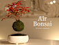 Air Bonsai | Create your "little star" : Air Bonsai is a floating star.
How would you like to plant your country's very own bonsai and make a wish on that "little star"?