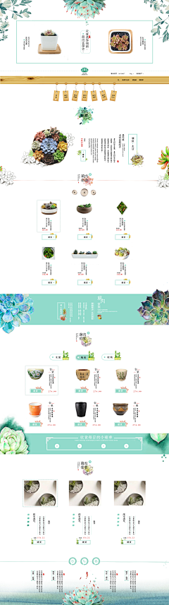 紫背天葵采集到web