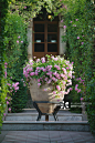 Garden, San Domenico Palace Hotel, Taormina, Sicily, Italy创意图片素材 - Gallo Images