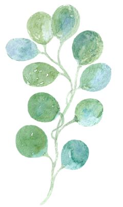 佐阳采集到插画/花花草草