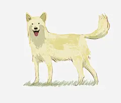 白色的狗_新图网 https://ixintu.com 尾巴 狗狗 白色 小草 手绘