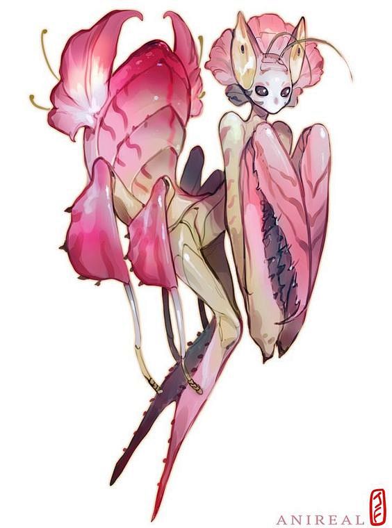 螳螂应对Junebug挑战