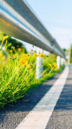 包着海苔的饭团采集到hnh