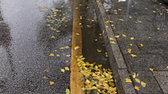 尔雅·采集到■ 【一捧°  雨声】