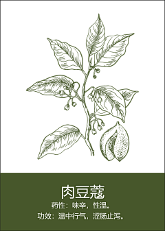 LIRYU采集到线绘植物