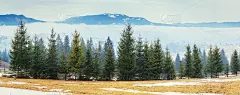 立春在山中。喀尔巴阡山。乌克兰。