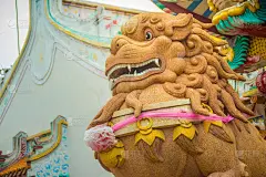 棕色的中国石雕守护狮或皇家守护狮在公共的中国寺庙大门。福犬雕像为家庭或企业提供了极为有力的保护。