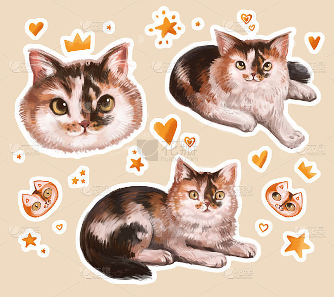 漂亮的猫光栅剪贴画。小猫宠物贴纸。现实的插图。