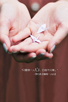 绾槙采集到你不知