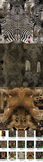 游戏美术资源 写实高清动物毛皮3d贴图素材47张-淘宝网