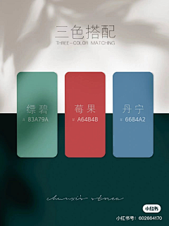 K&V采集到平面设计_色彩