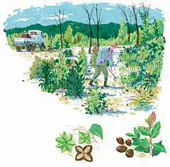 Ari，出發南迴！ 台東旅遊誌插畫－大武篇 : 這系列是台東旅遊誌的插畫－大武故事，其中除了介紹很多大武的人文風景，還有一些是描繪過去的影像，用插畫來呈現消失的神社與人來人往的榮景。