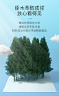 【五羊婴儿保湿面纸巾】五羊（FIVERAMS）婴儿保湿云柔巾40抽*20包 新生儿柔纸巾乳霜纸 婴儿纸宝宝抽纸 儿童面巾纸 敏感肌适用 箱装【行情 报价 价格 评测】-京东