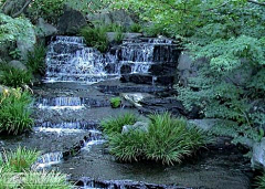 冷米虫子采集到水景