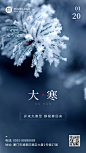 大寒节气树枝雪花实景特写祝福手机海报