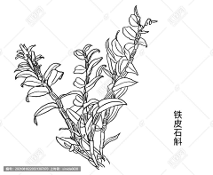 在那个地方呀采集到材料
