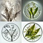 mengchao._lily_of_the_valley_backlight_glass_plate_white_backgr_978767b7-bb52-490e-a6db-d5a5df0bdf1a.png (2048×2048)