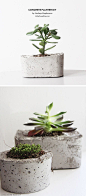 DIY Cement Planters
