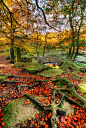 秋天的桥梁，德比郡，英格兰
Autumn Bridge, Derbyshire, England