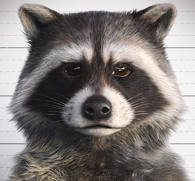 Raccoon - Police Lin...
