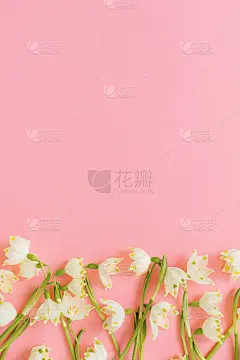 花边平铺在粉红色的纸上。时尚的鲜花贺卡与空间的文本。春天