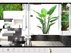 P6RUIPu3采集到Plant