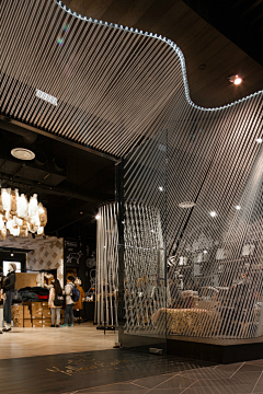 Jociaa采集到Z展陈