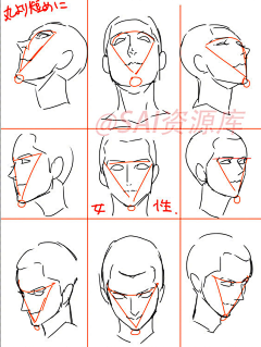 北陌寒ZROZ采集到<参考>☞人体结构