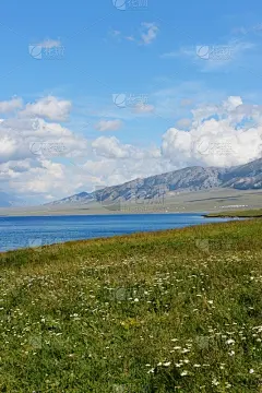 湖,风景,赛里木湖风景区,垂直画幅,无人,夏天,户外,草,图表,山