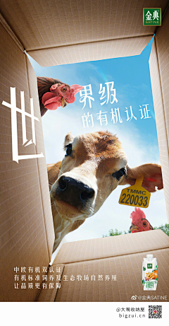 小侯子lynn采集到环保