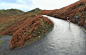 ddf0f092gw1ekpk8i0ztqg20bb0767wk.gif (407×258)