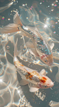 Glitter ✨ Glitter ✨ Gorgeous and magical natural depth of field photography, Surreal, on the sparkling white water, with two Silver and gold koi and light pink gems made of foil, graceful curves, sunlight, spots, reflective cyan, shadow, sacred, natural l