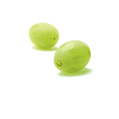 用户qVbyPO8Z采集到水果